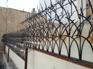 خرید حفاظ روی دیوار | سهند حفاظ خرید حفاظ روی دیوار