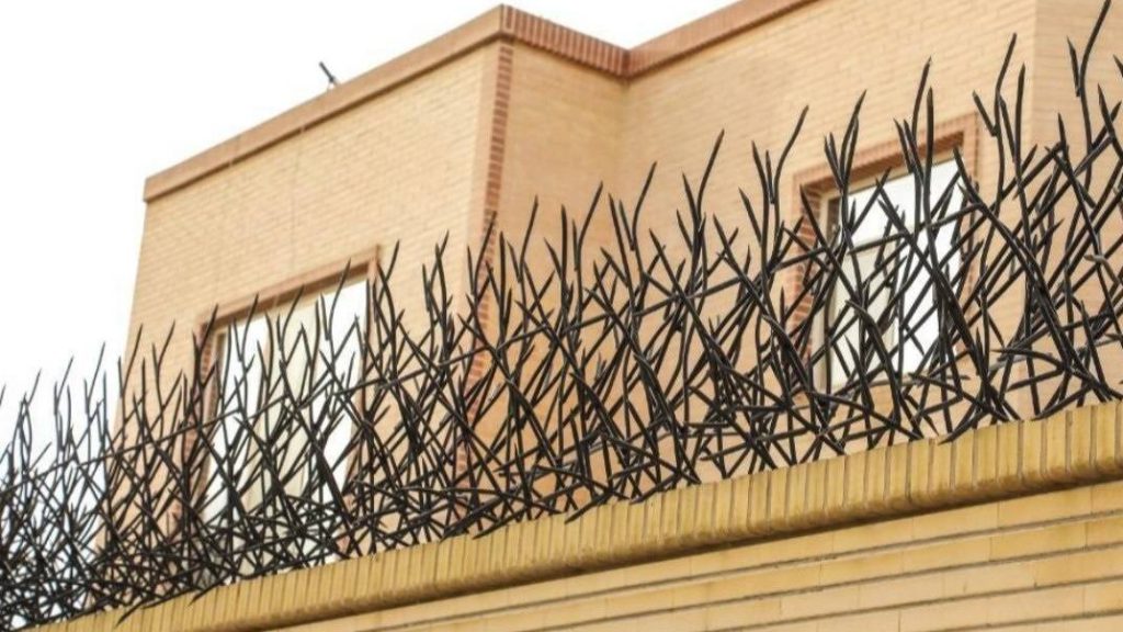 قیمت حفاظ شاخ گوزنی در مشهد