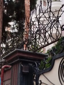 قیمت حفاظ شاخ گوزنی در مازندران 
