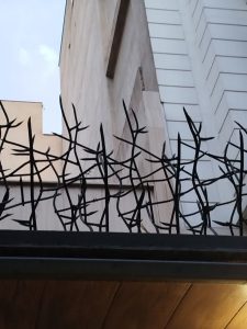 حفاظ شاخ گوزنی در اصفهان 
