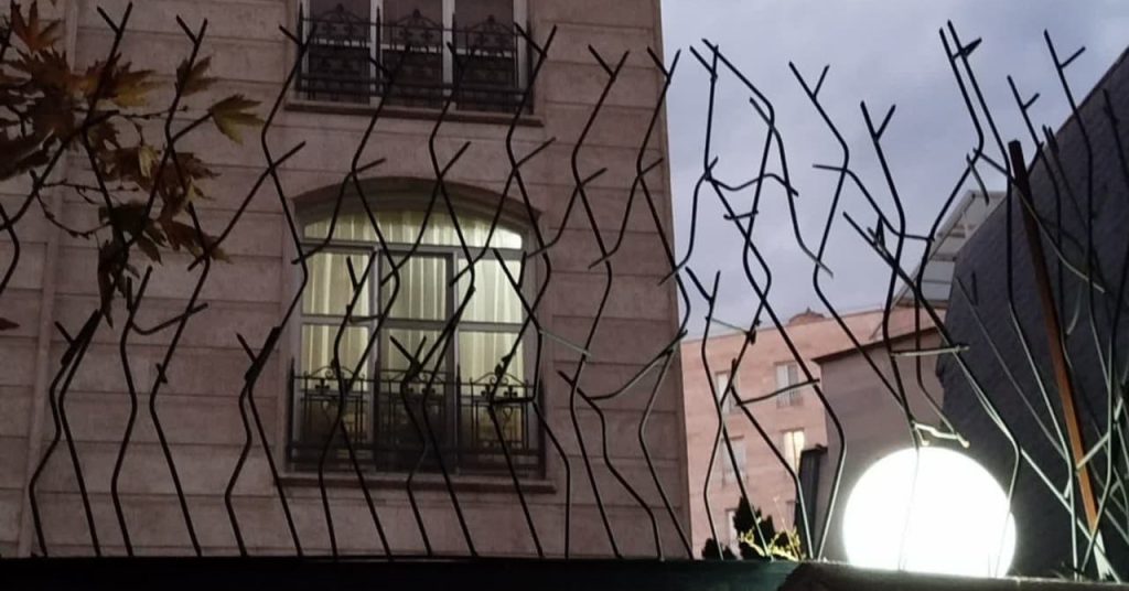 قیمت حفاظ شاخ گوزنی در مازندران