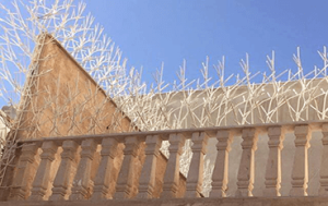 کارخانه تولید حفاظ شاخ گوزنی