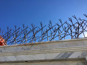 کارخانه تولید حفاظ شاخ گوزنی - تصویر 2