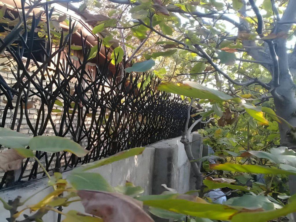 حفاظ شاخ گوزنی روی دیوار