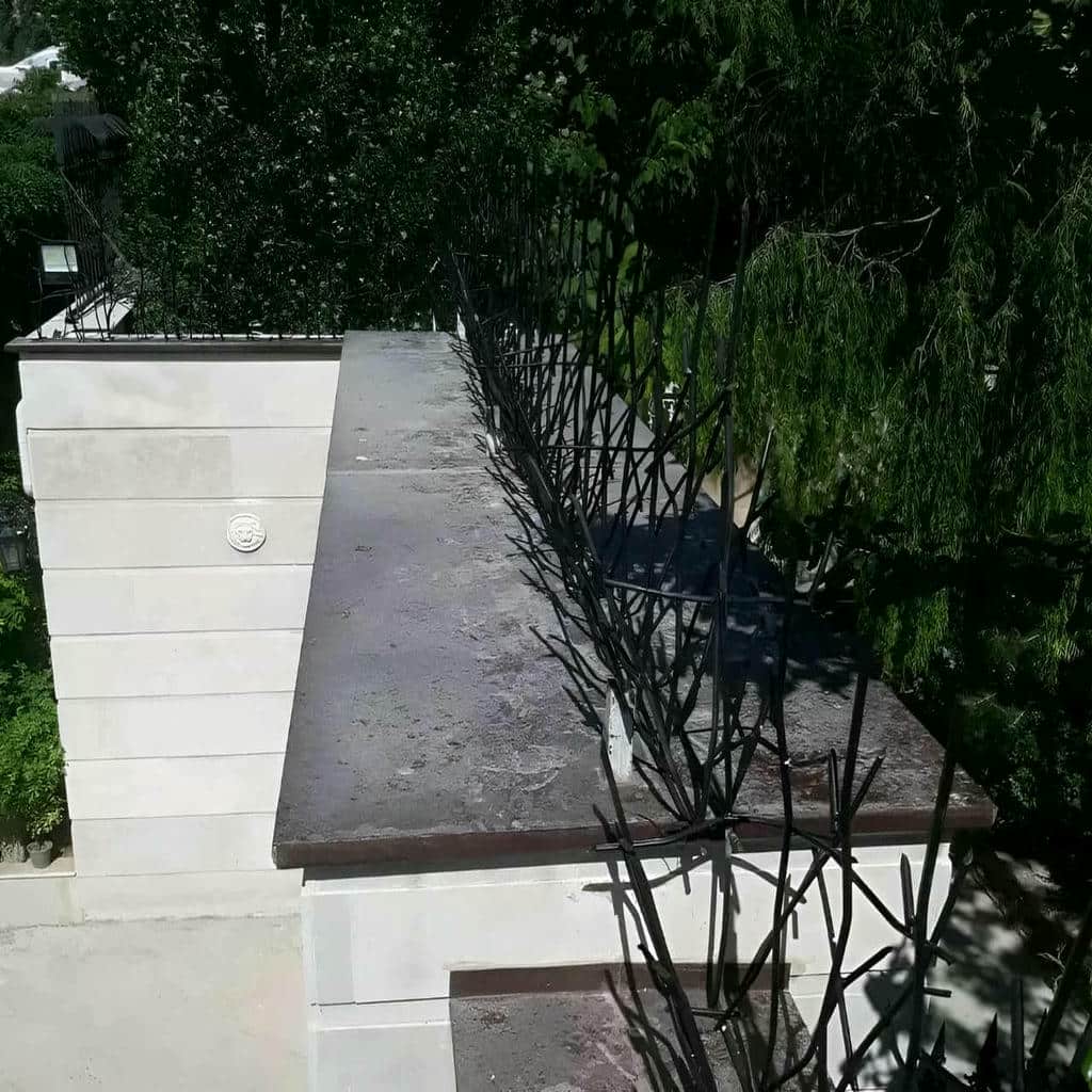 حفاظ شاخ گوزنی در زاهدان