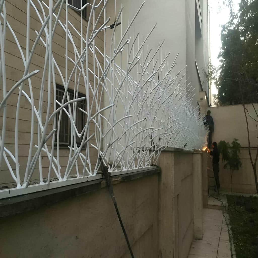 حفاظ شاخ گوزنی در سیرجان