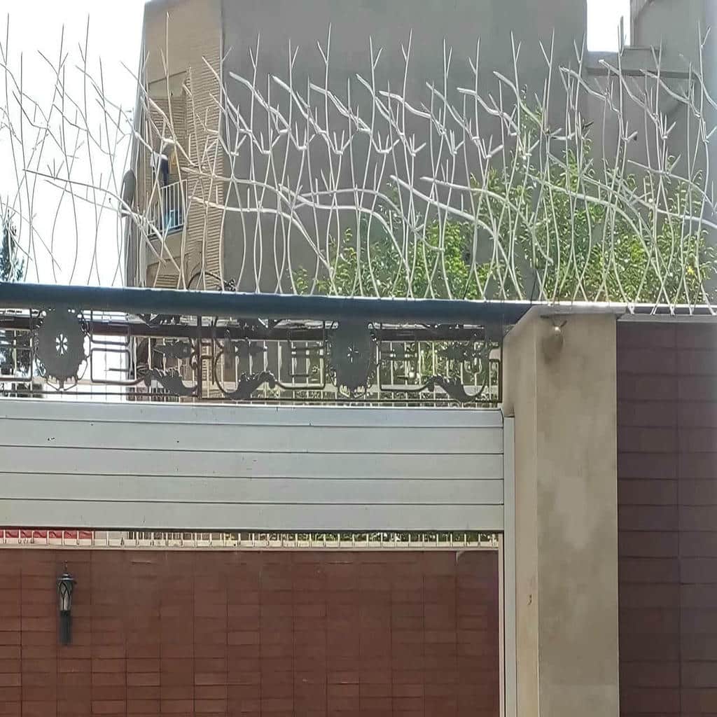 حفاظ شاخ گوزنی در ساری