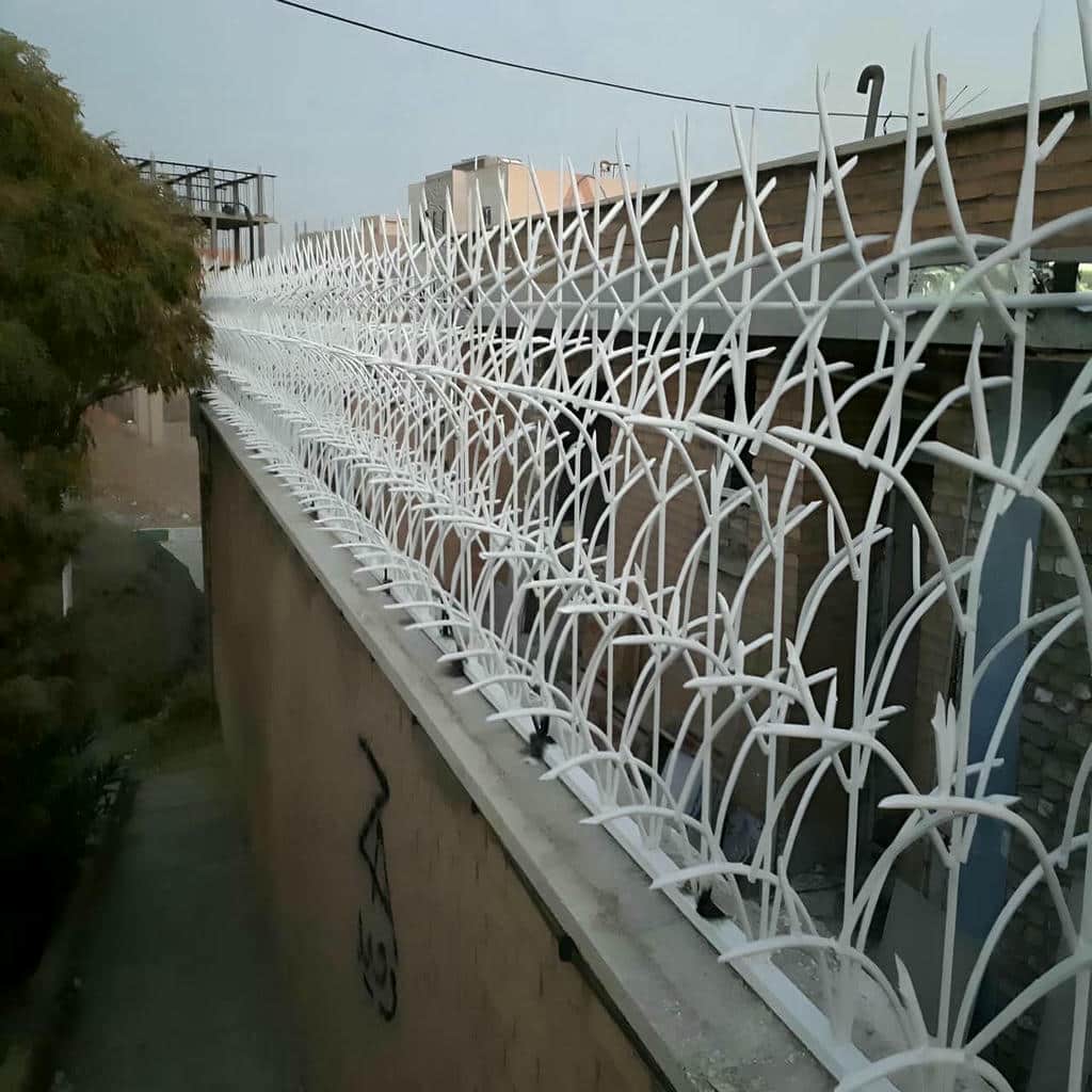 خرید حفاظ شاخ گوزنی تراکم بالا در کاشان