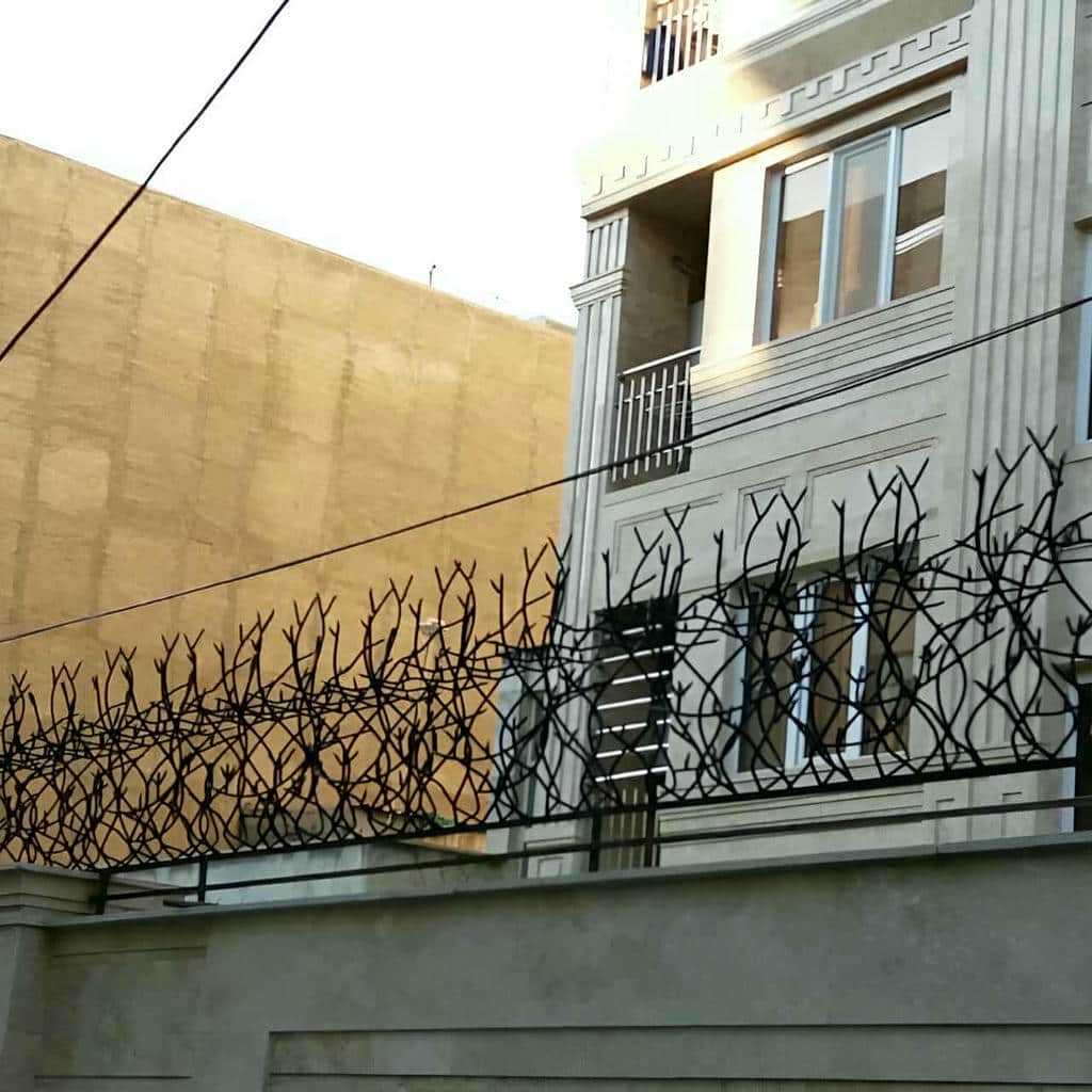 حفاظ شاخ گوزنی در بندر دیلم