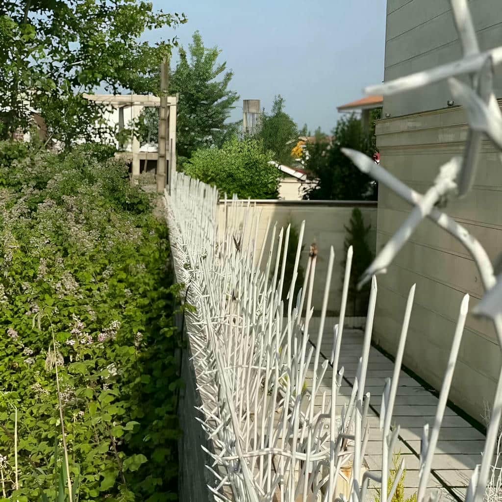قیمت حفاظ شاخ گوزنی پارکینگ در ساری