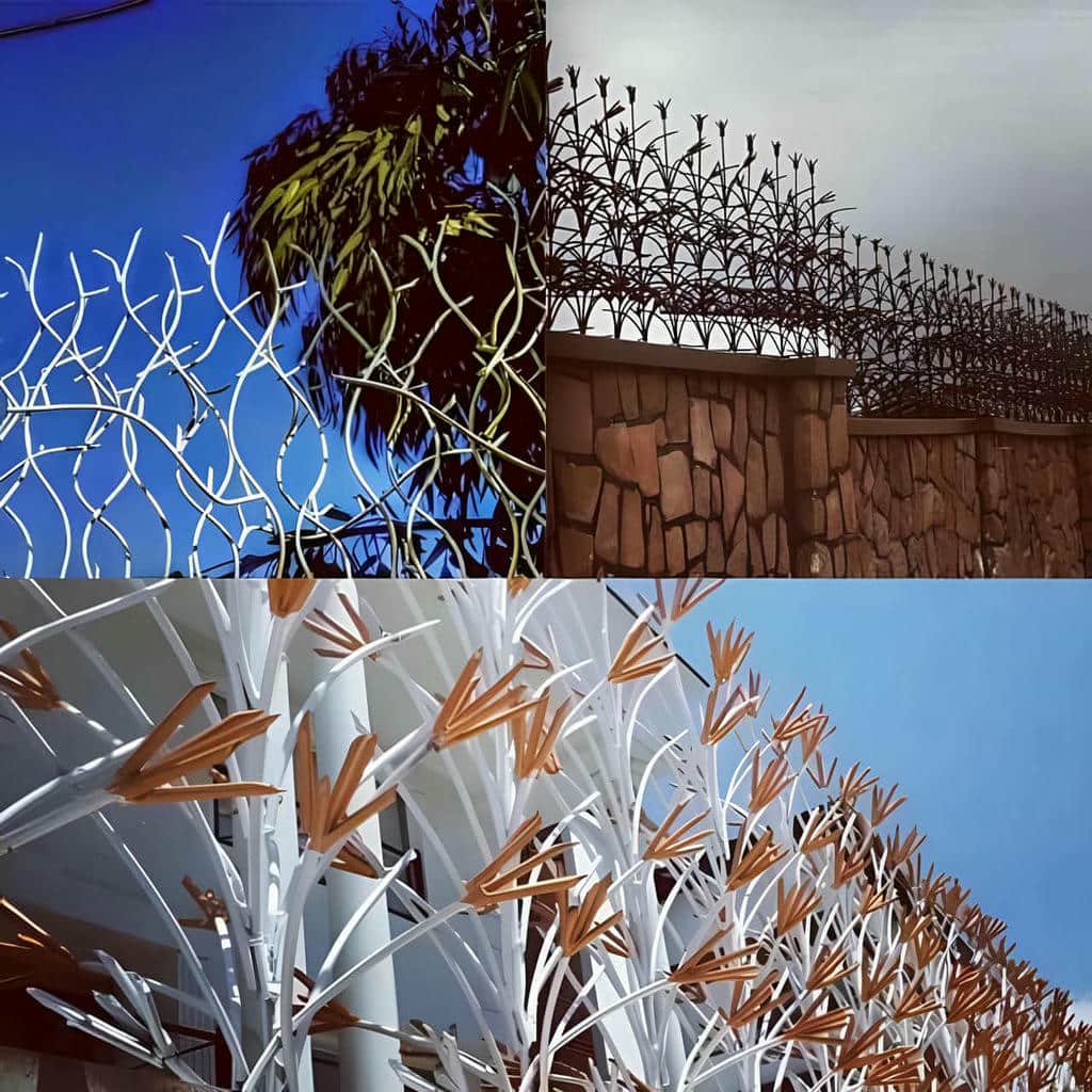 حفاظ شاخ گوزنی در قشم