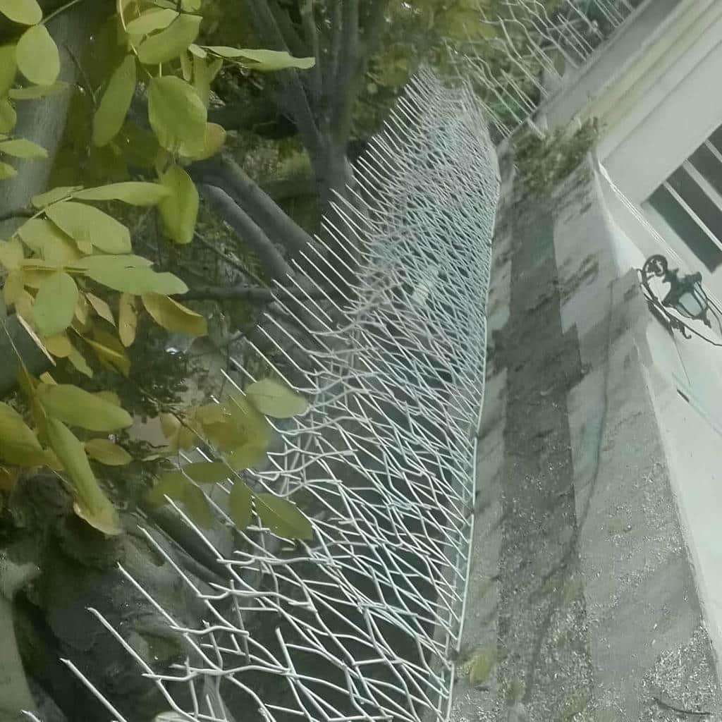 فروش حفاظ شاخ گوزنی جوشکاری دقیق در کمال شهر | سهند حفاظ فروش حفاظ شاخ گوزنی جوشکاری دقیق در کمال شهر