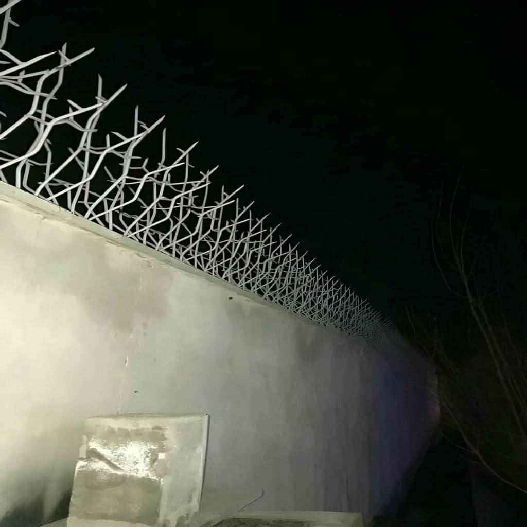 خرید حفاظ شاخ گوزنی شاخه ای در رشت