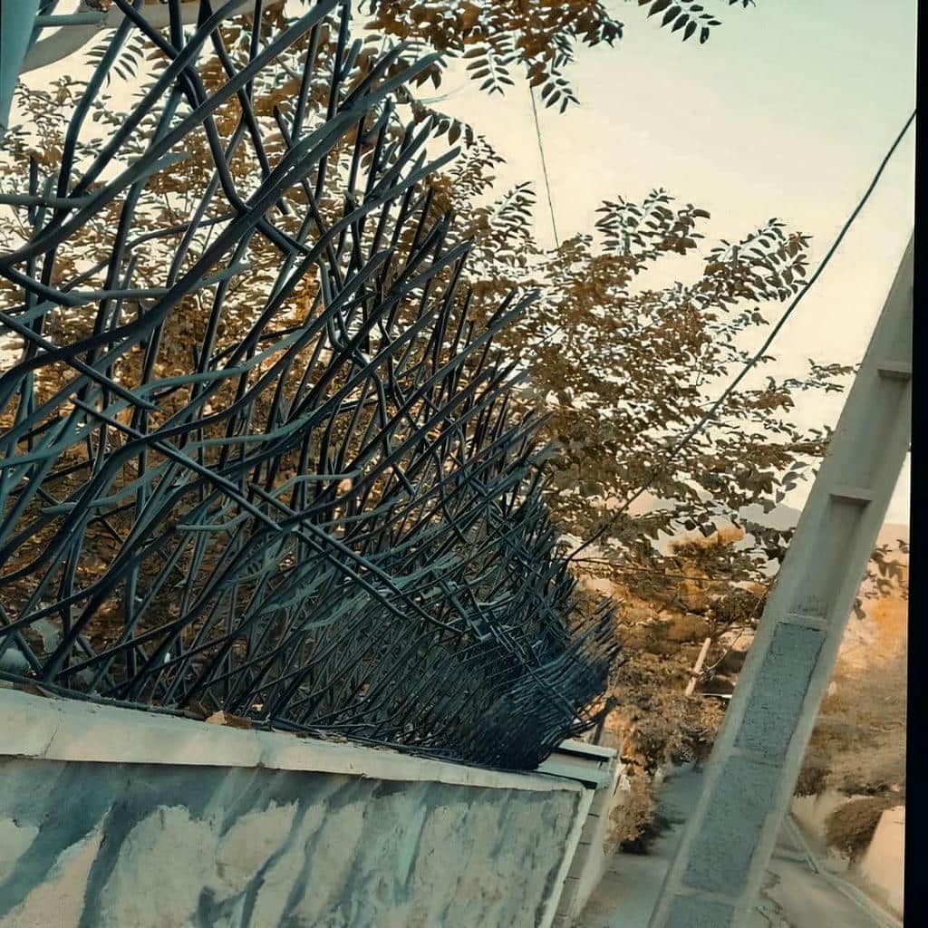 خرید حفاظ شاخ گوزنی شاخه ای در کرمان