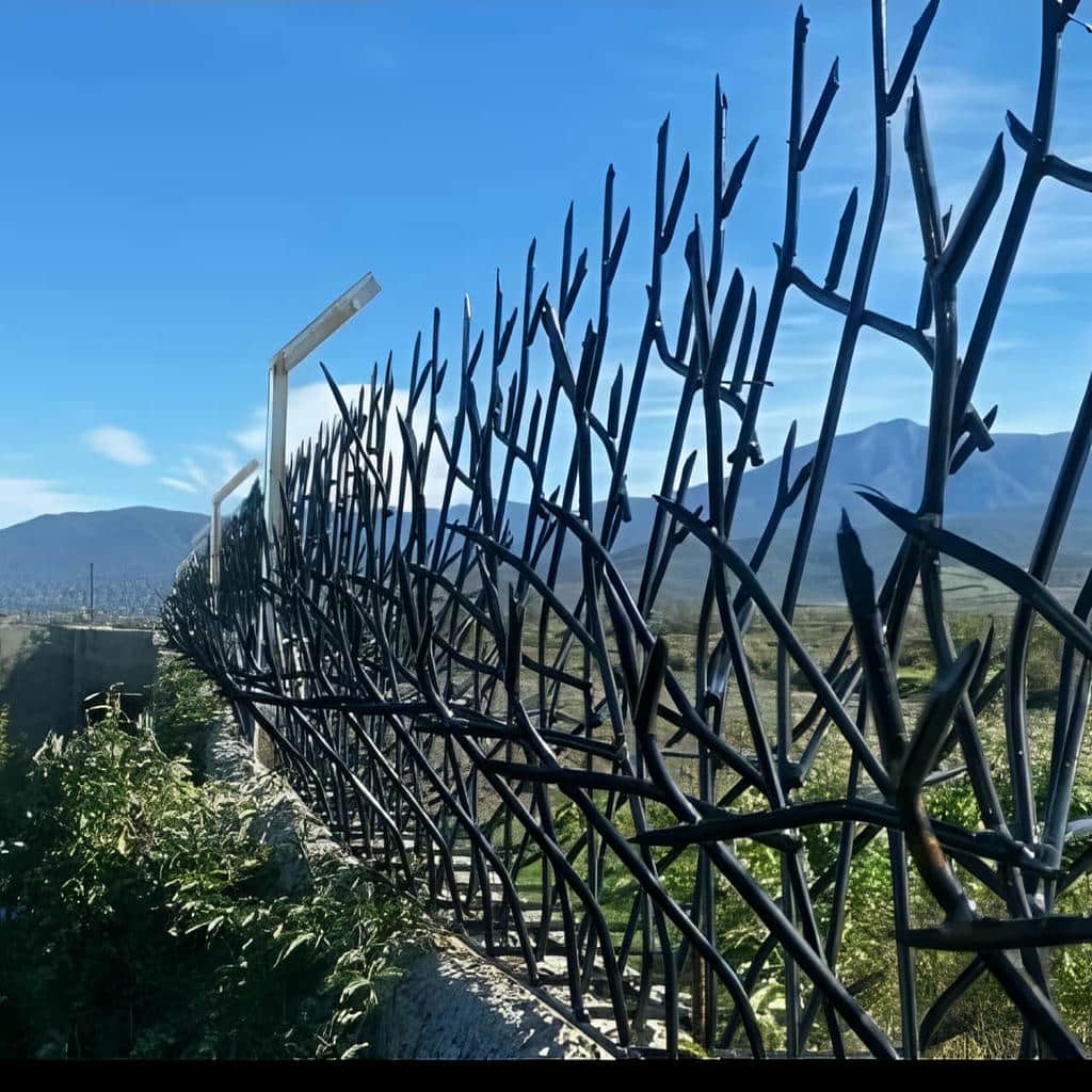 حفاظ شاخ گوزنی در استان خوزستان