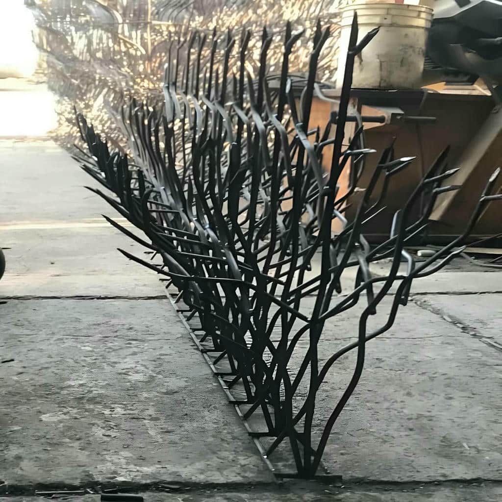 حفاظ شاخ گوزنی در بندر لنگه