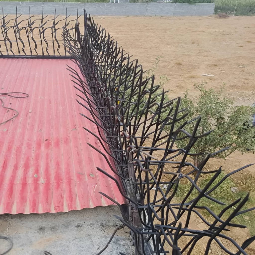 قیمت حفاظ شاخ گوزنی پرتراکم در پردیس