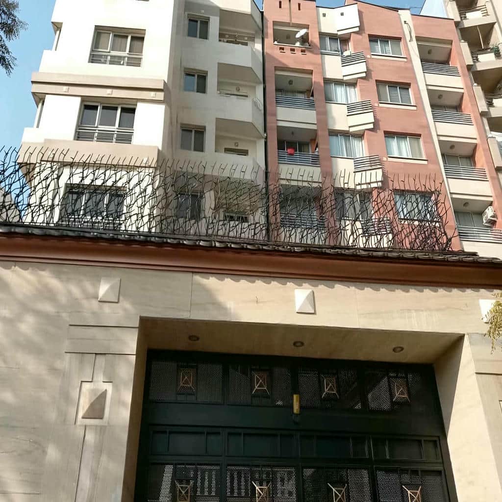 خرید حفاظ شاخ گوزنی شاخه ای در یزد